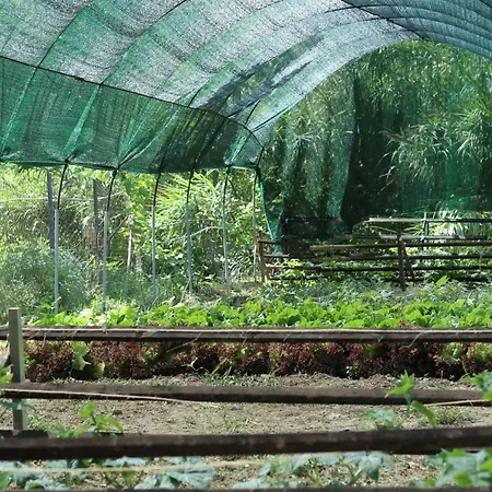Honigtal Farmland Фермерский дом