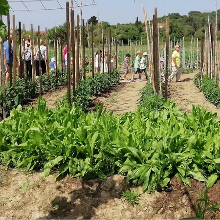 Honigtal Farmland * Агиос-Георгиос-Пагон